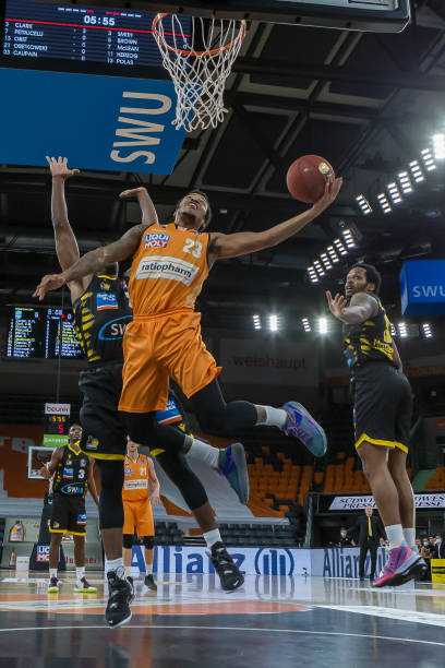 他们的考察 他们的考察